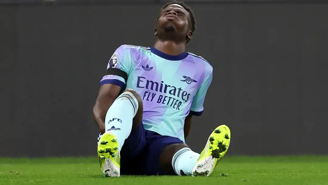 森林狼的团 森林狼的团